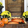 Picture of Autumn Watch Jellybean Rug®
