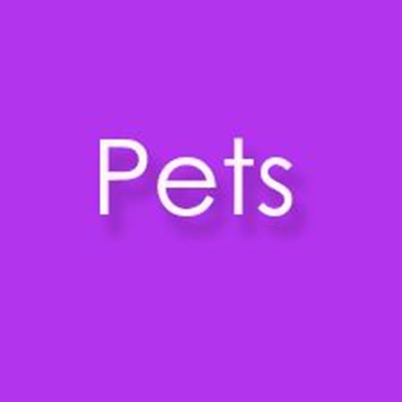 Picture for category Pets