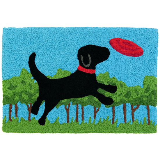 Picture of Frisbee Fido