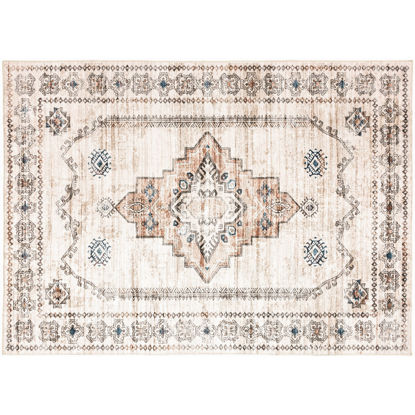 Picture of Bidjar Power Loomed Chenille Rug