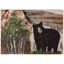 Picture of Alpine Black Bear Machine Washable Olivia's Home™  Accent Rug